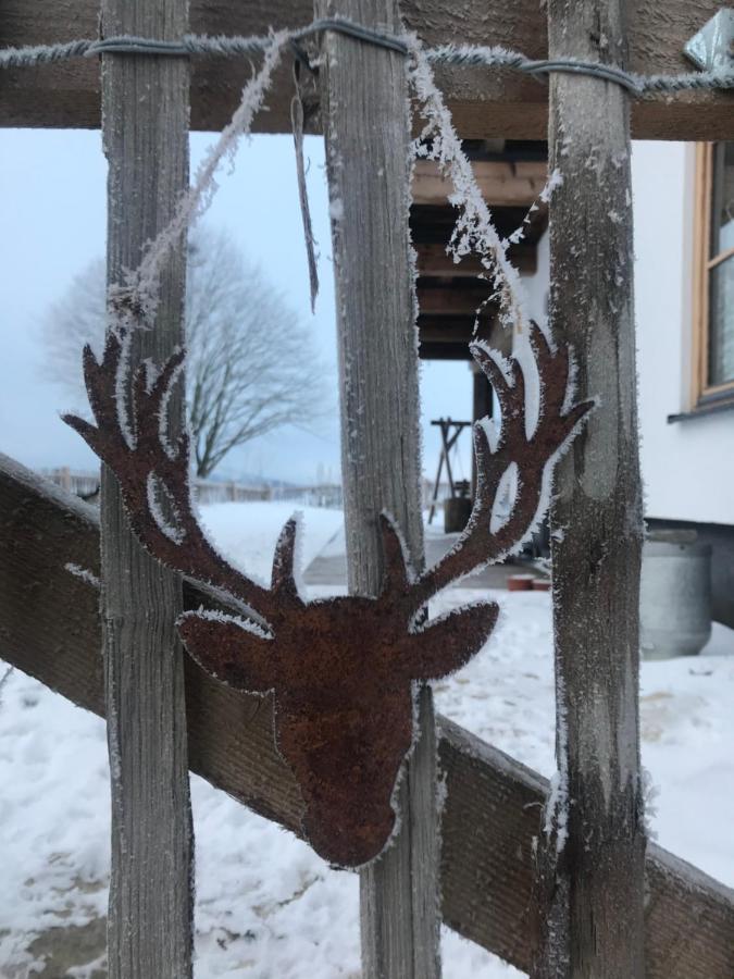 Chalet Bergliebe Брилон Екстериор снимка