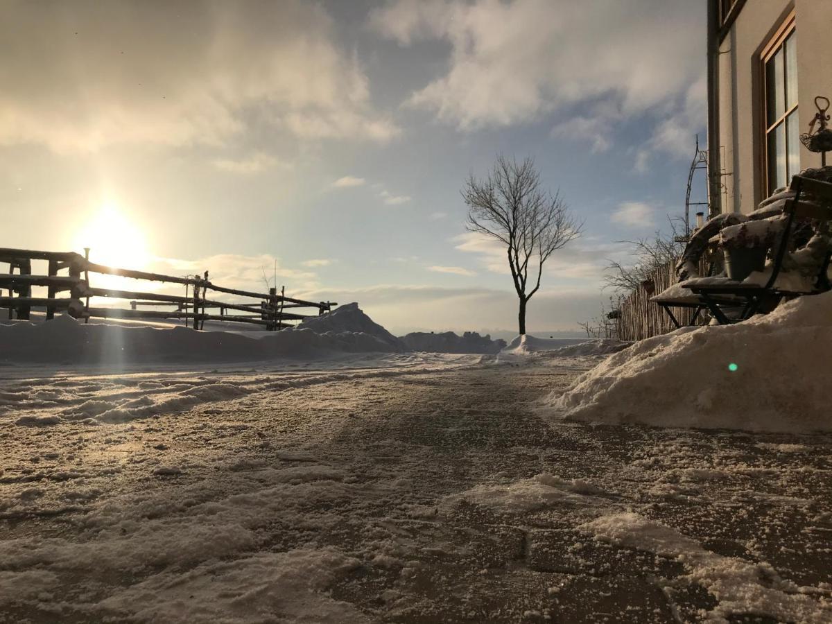 Chalet Bergliebe Брилон Екстериор снимка